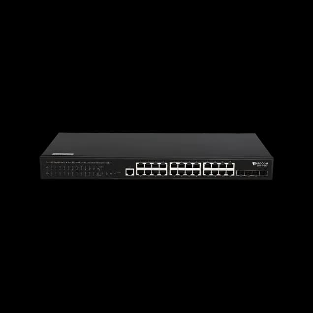 S2900-24P4Xv1