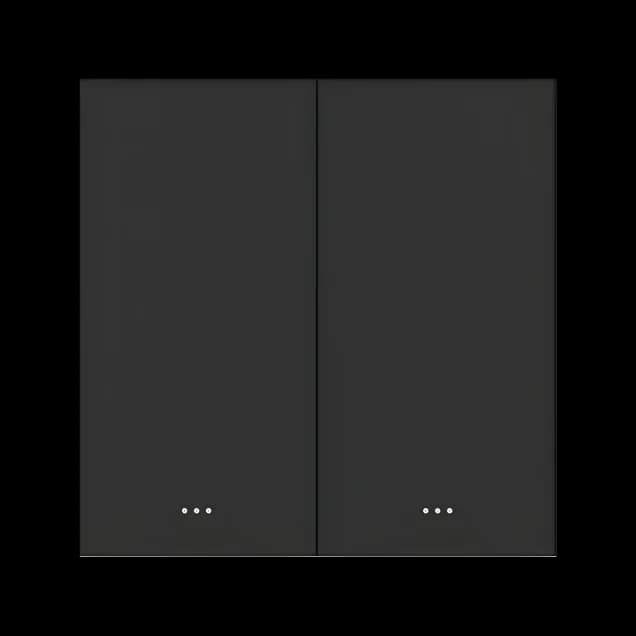2 Gang Key Switch (EU version/Black) Akubela SM-2G