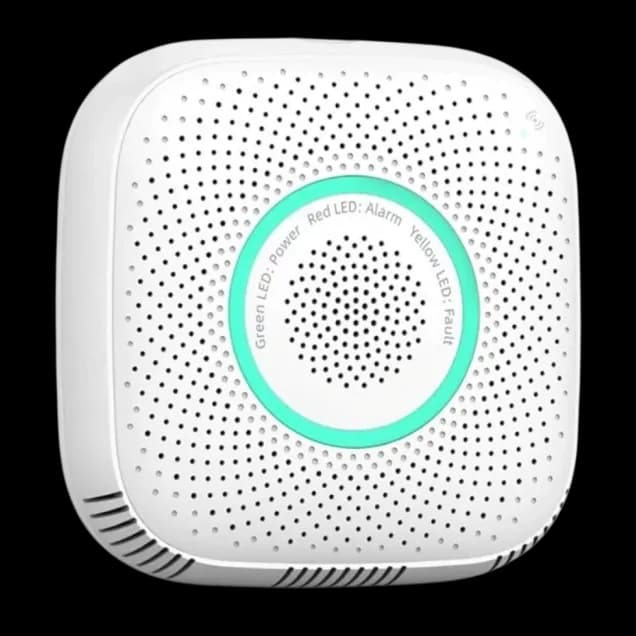 Smart Wi-fi Natural Gas Detector VIV-WS2CG-TY